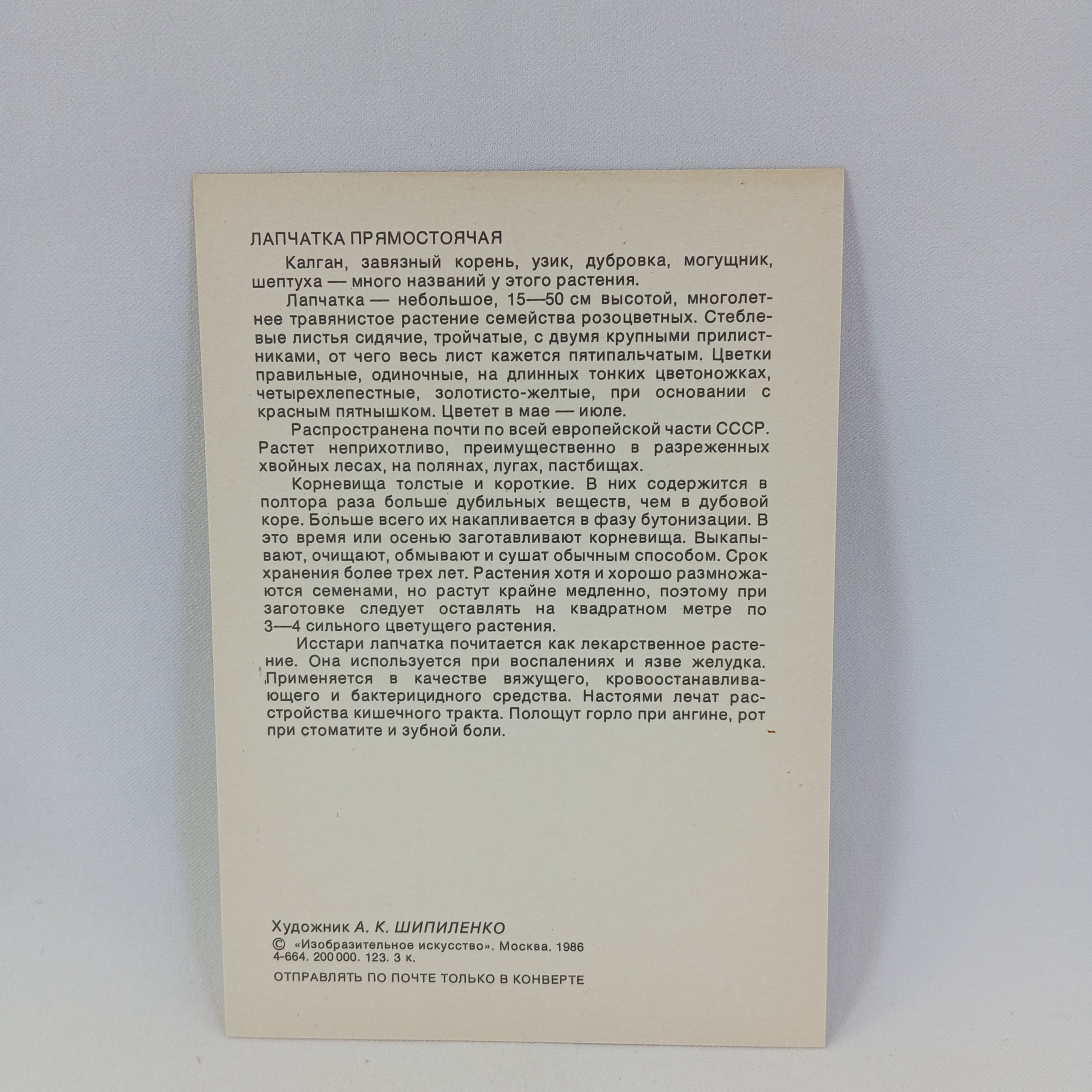 Картинка 2