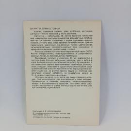 Картинка 2