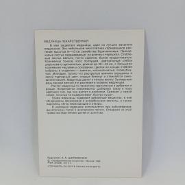 Картинка 2