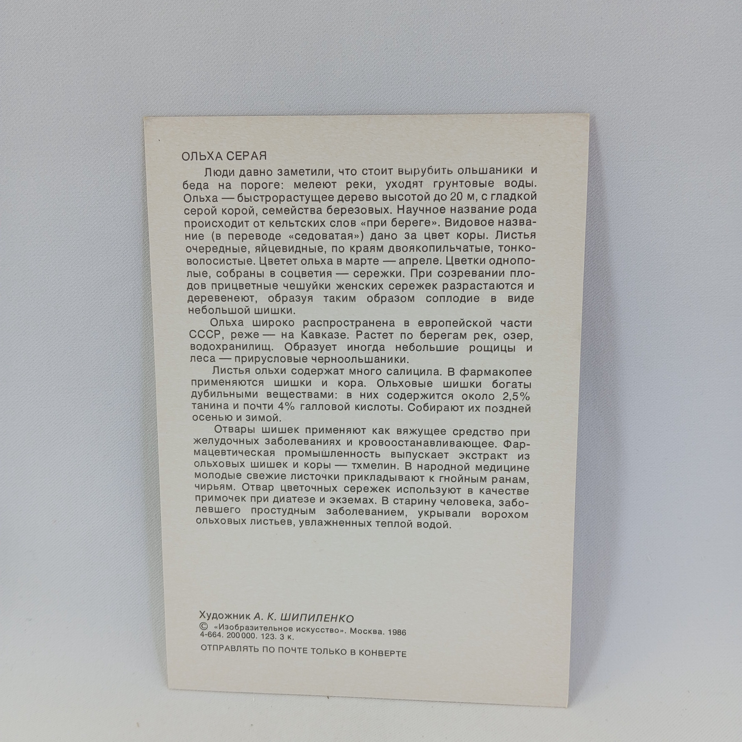 Картинка 2