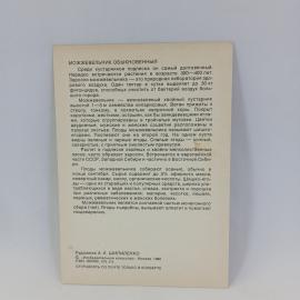 Картинка 2