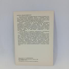 Картинка 2