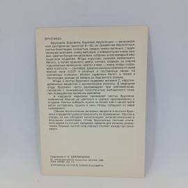 Картинка 2