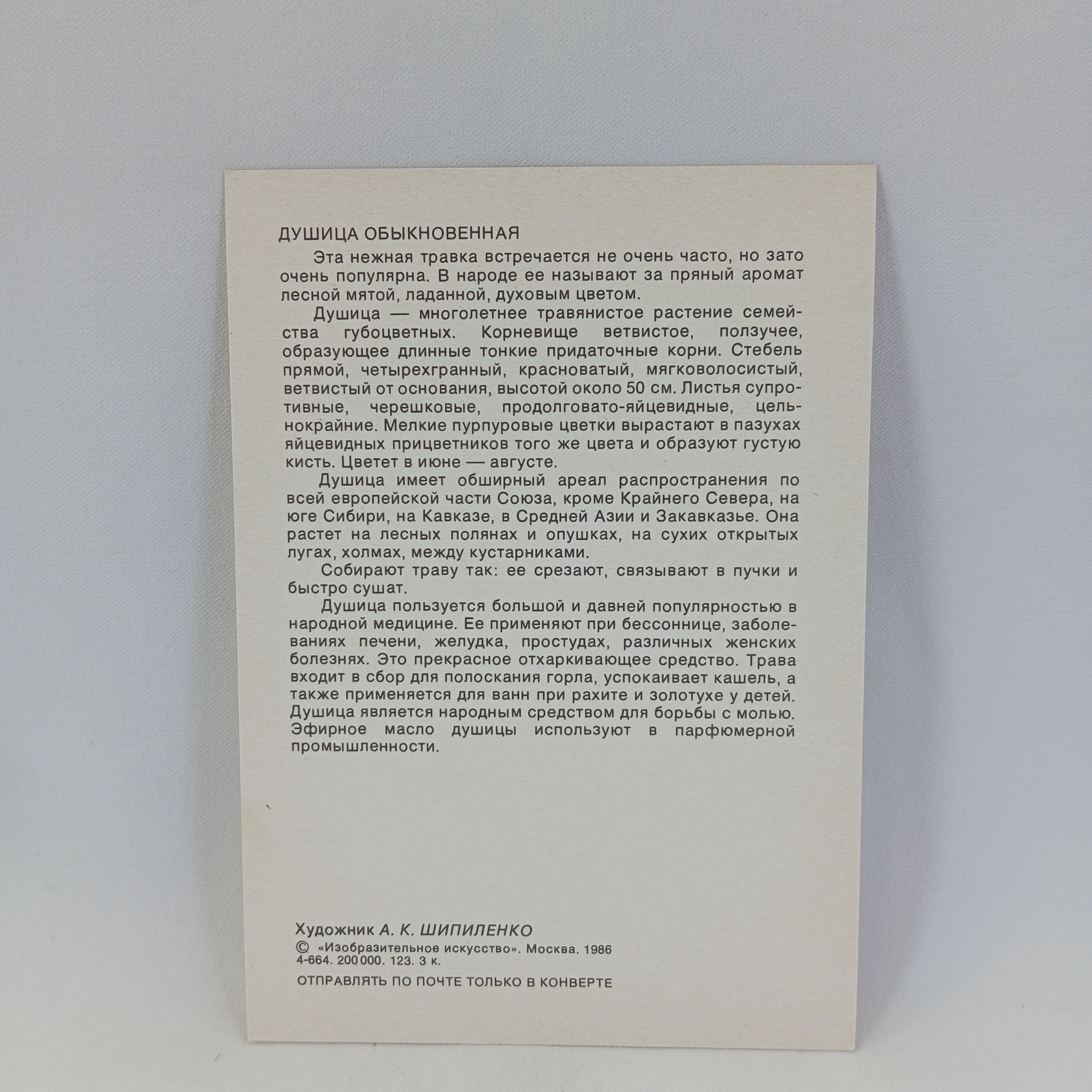 Картинка 2