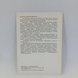 Картинка 2