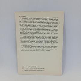 Картинка 2