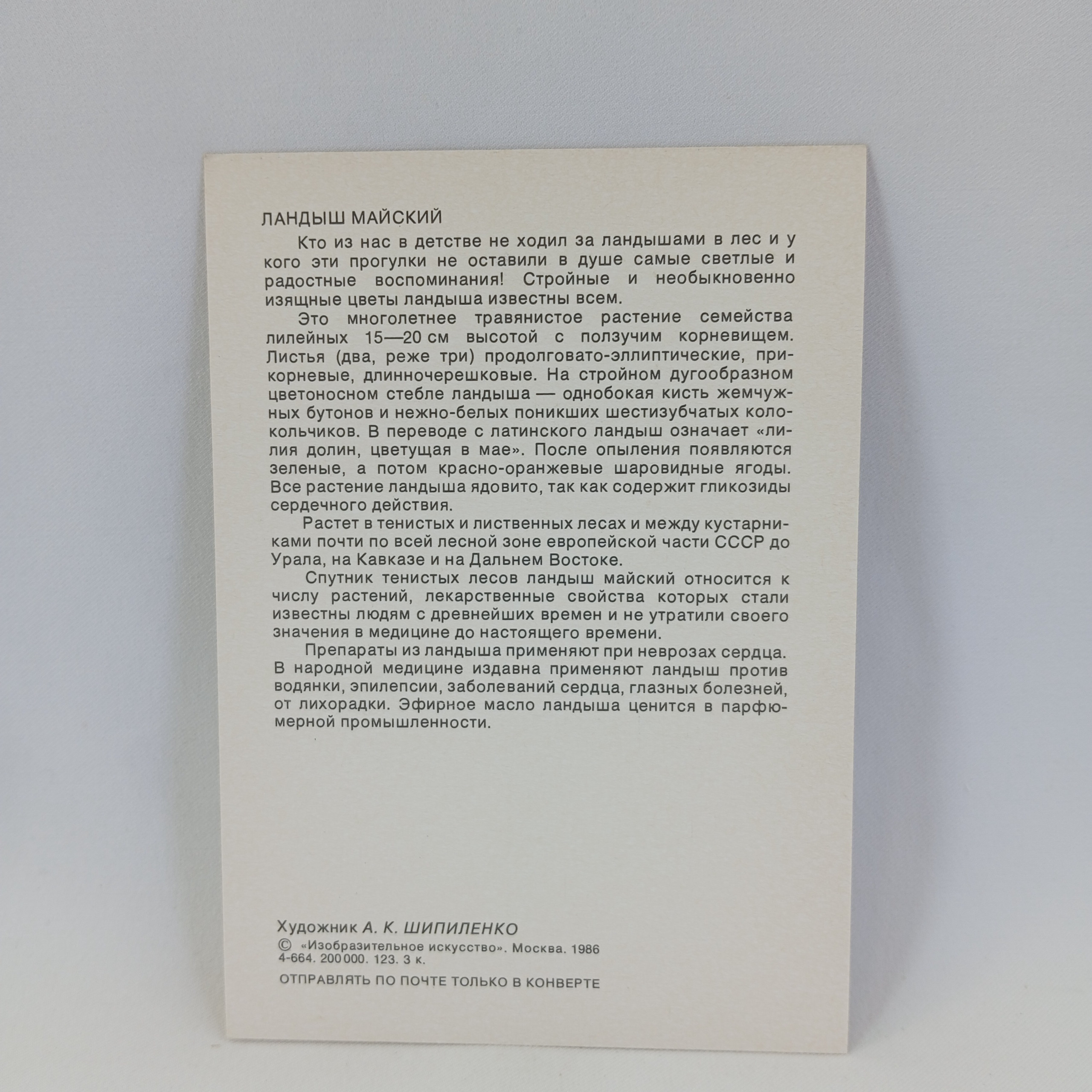 Картинка 2