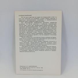 Картинка 2