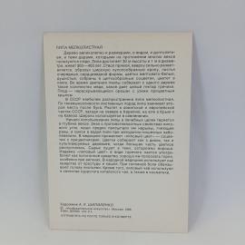 Картинка 2