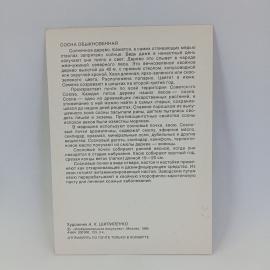 Картинка 2