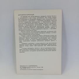 Картинка 2