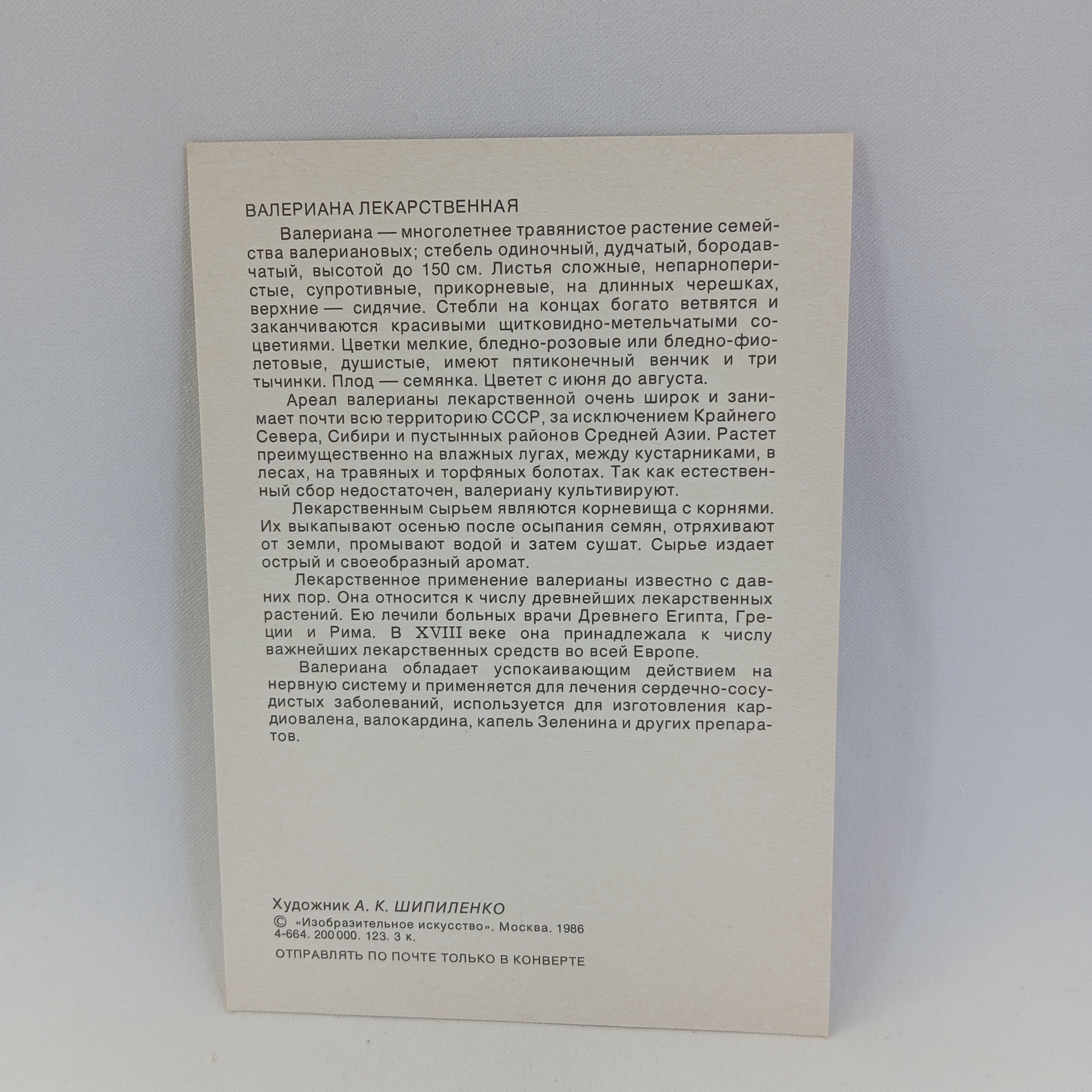 Картинка 2