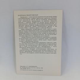 Картинка 2