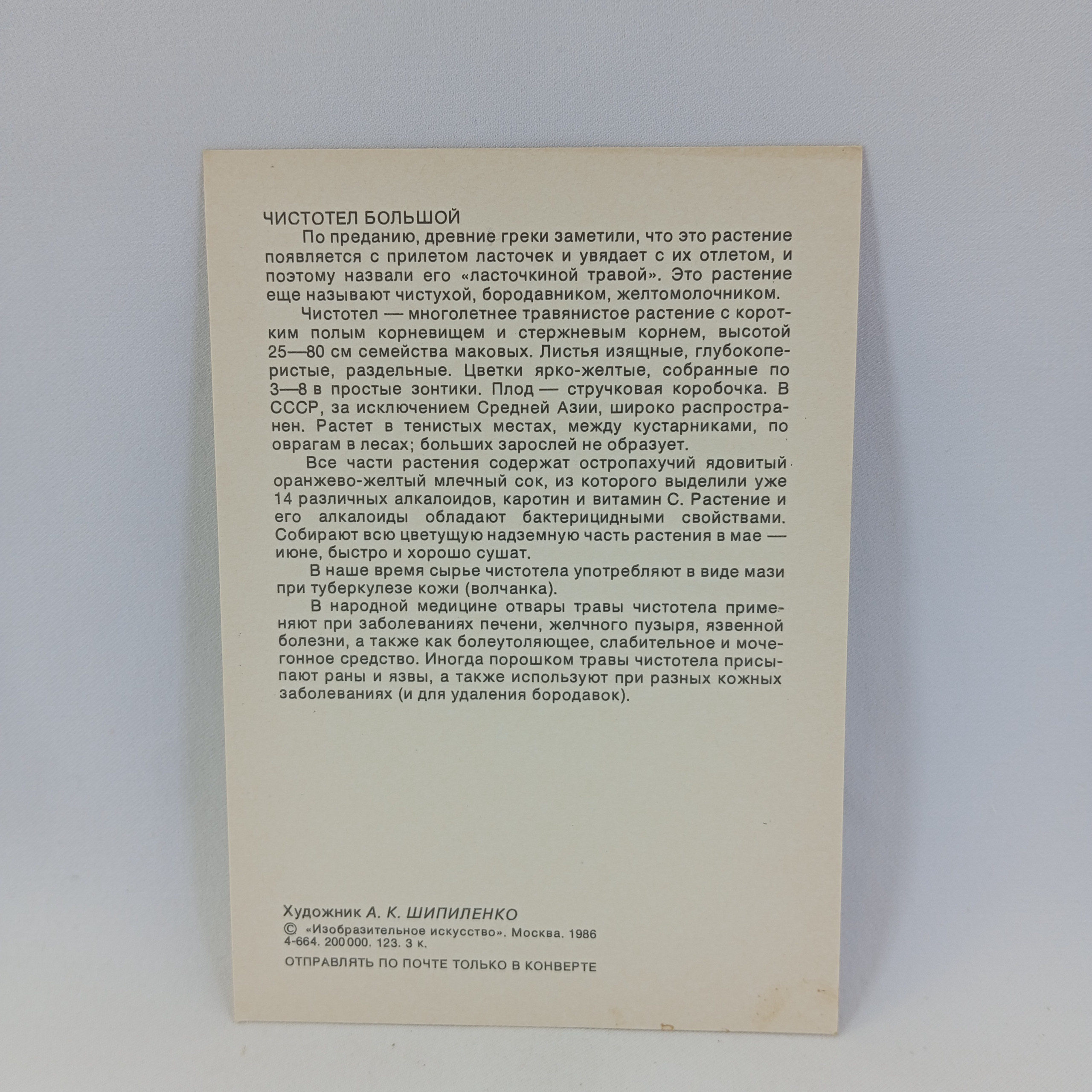Картинка 2