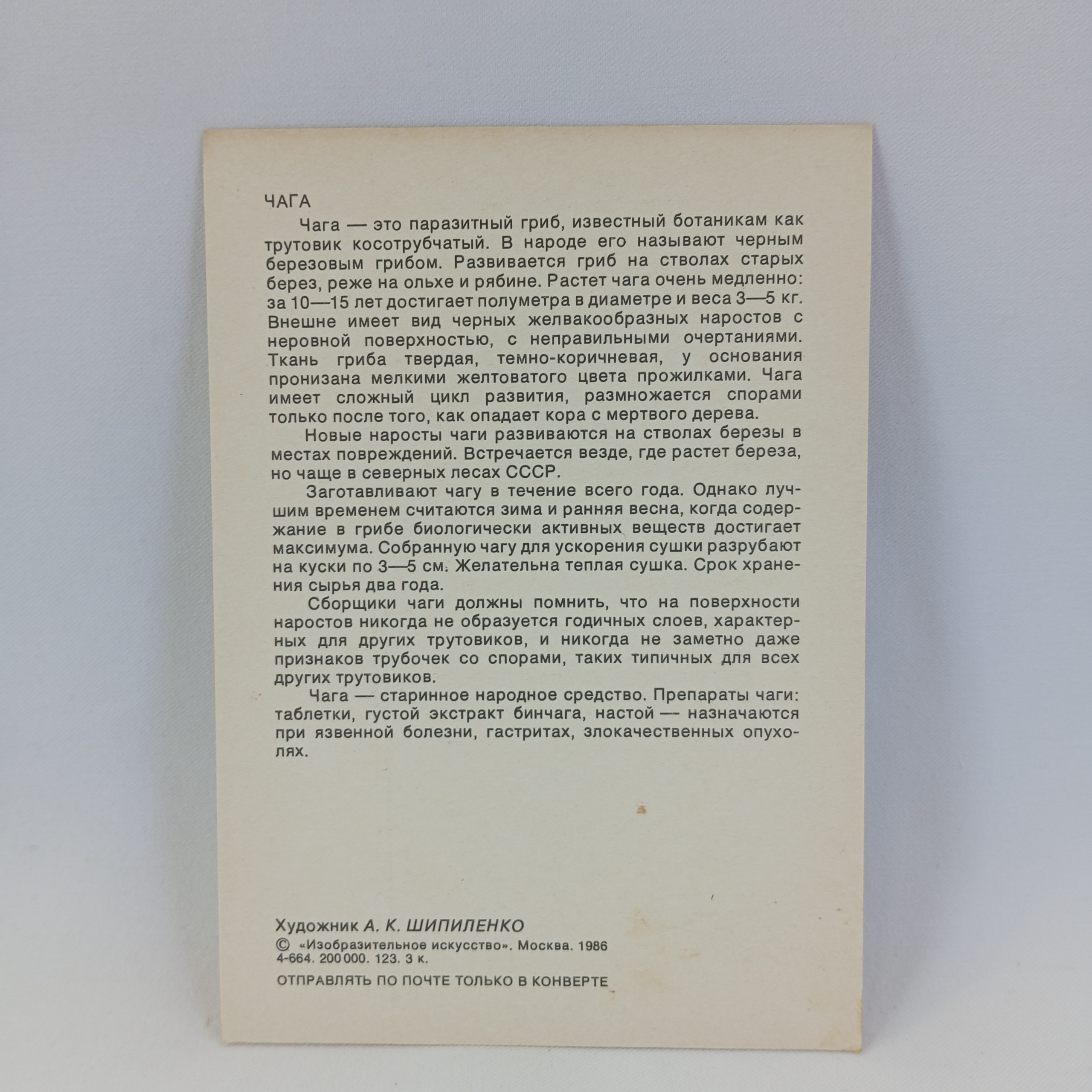 Картинка 2