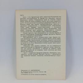 Картинка 2