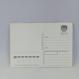 Картинка 2