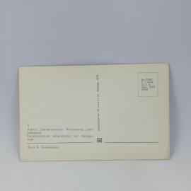 Картинка 2