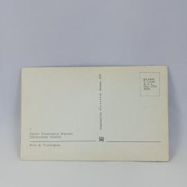 Картинка 2