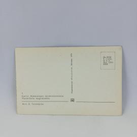 Картинка 2