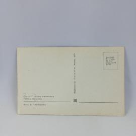 Картинка 2
