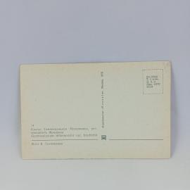 Картинка 2