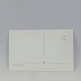 Картинка 2