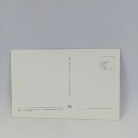 Картинка 2