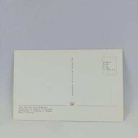 Картинка 2