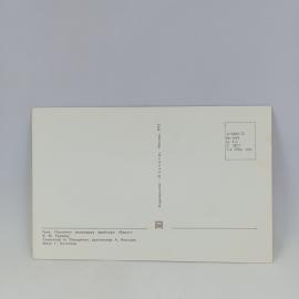 Картинка 2