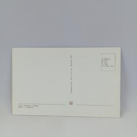 Картинка 2