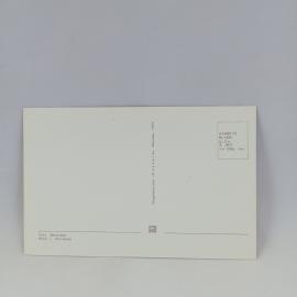 Картинка 2
