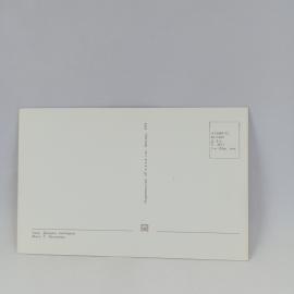 Картинка 2