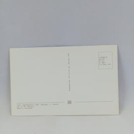 Картинка 2