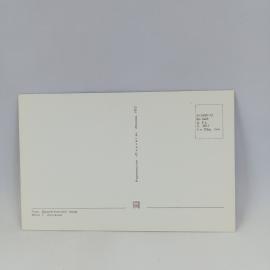 Картинка 2