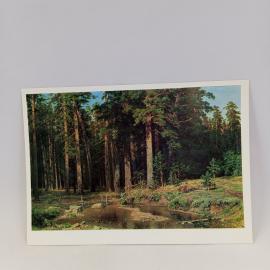 Картинка 1