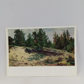Картинка 1