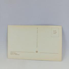 Картинка 2