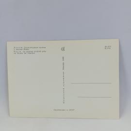 Картинка 2