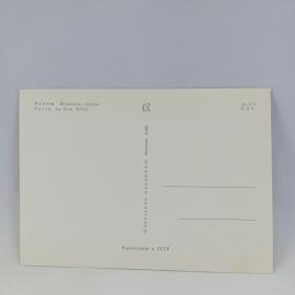 Картинка 2