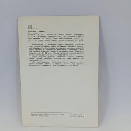 Картинка 2