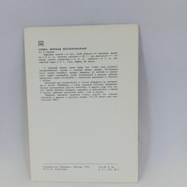 Картинка 2