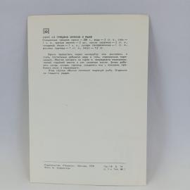 Картинка 2