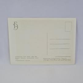 Картинка 2