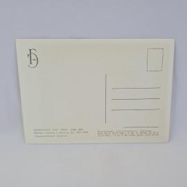 Картинка 2
