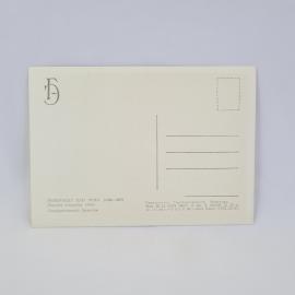 Картинка 2