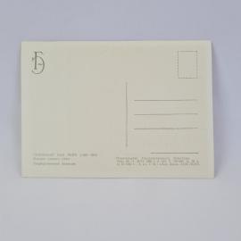 Картинка 2