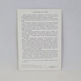 Картинка 2