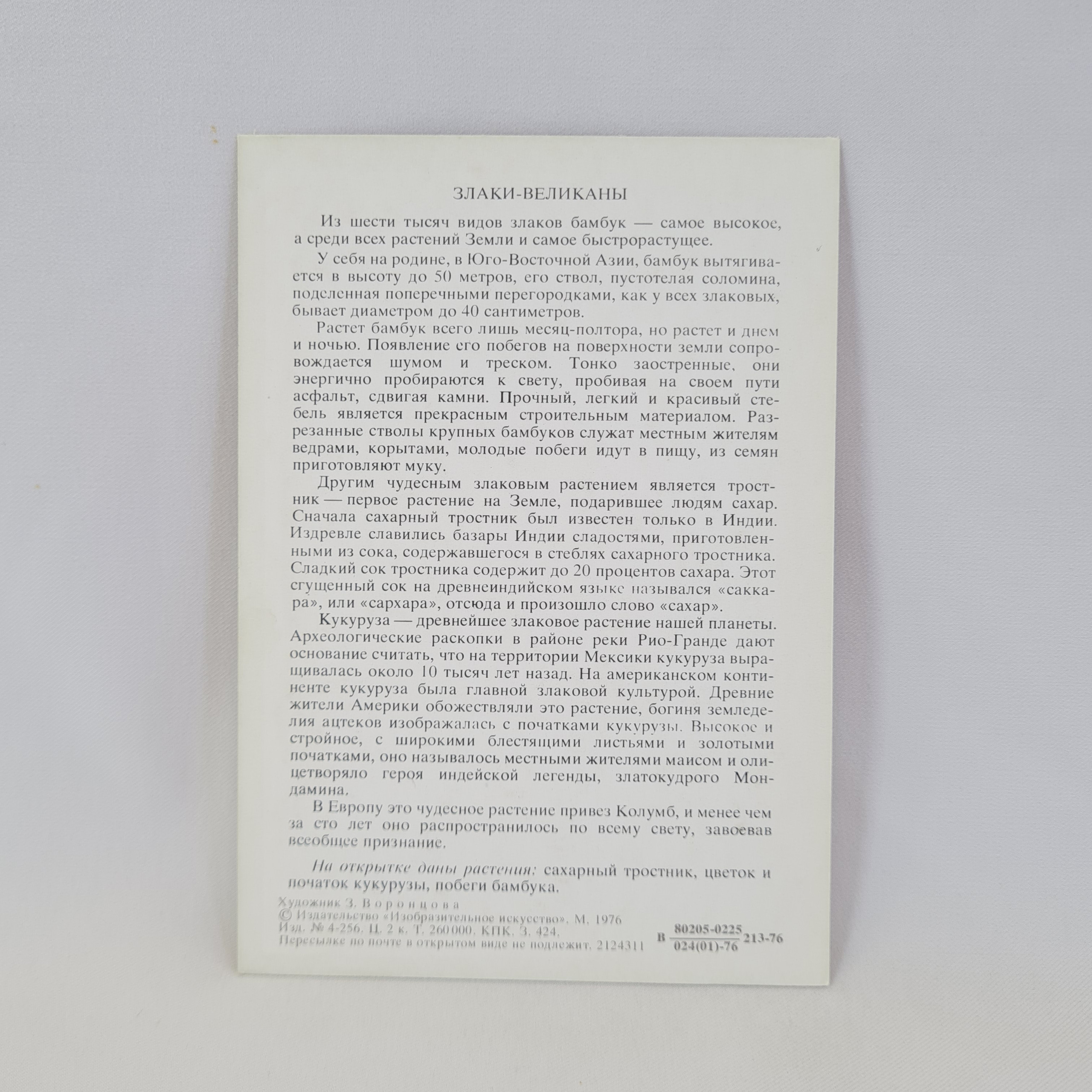 Картинка 2