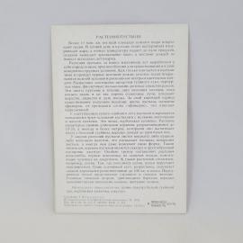 Картинка 2
